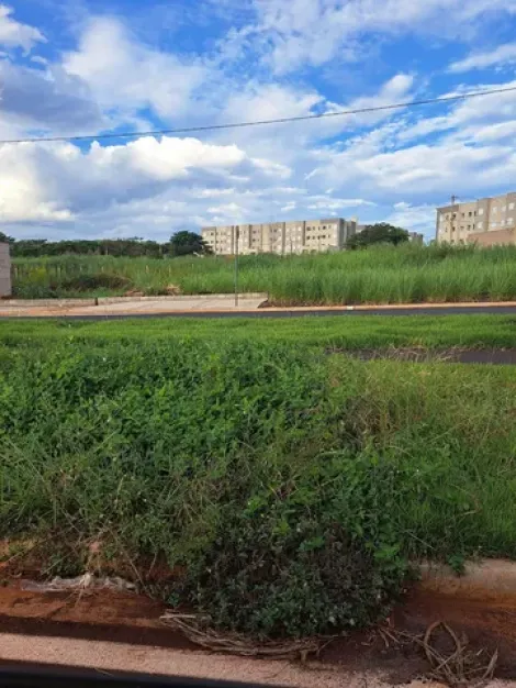 imagem 1 - Terreno - Padrão imagem 1 - Terreno - Padrão