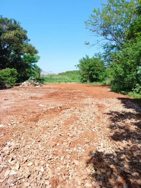 imagem 1 - Terreno amplo imagem 1 - Terreno amplo