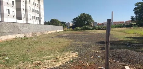 imagem 1 - Terreno a Venda, 3264 m², Ipiranga imagem 1 - Terreno a Venda, 3264 m², Ipiranga