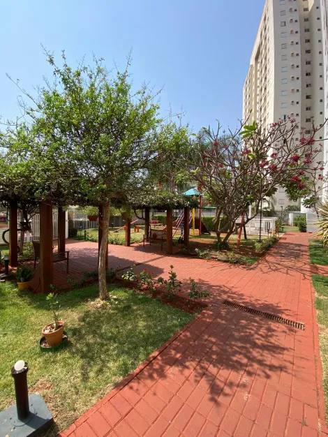imagem 4 - Apartamento 2 quartos sendo 1 suíte com 2 vagas no Jd. Nova Aliança para venda imagem 4 - Apartamento 2 quartos sendo 1 suíte com 2 vagas no Jd. Nova Aliança para venda