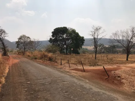 imagem 4 - AREA RURAL PARA VENDA COM 24.200M² NA CIDADE DE RIFAINA - SP imagem 4 - AREA RURAL PARA VENDA COM 24.200M² NA CIDADE DE RIFAINA - SP
