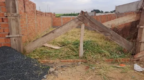imagem 1 - Terreno - Padrão imagem 1 - Terreno - Padrão