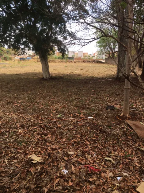 imagem 2 - Terreno - Padrão imagem 2 - Terreno - Padrão