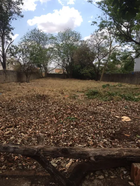 imagem 1 - Terreno - Padrão imagem 1 - Terreno - Padrão