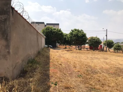 imagem 3 - Venda Lote de bairro com 250m² em Rifaina (ao lado da rampa municipal) imagem 3 - Venda Lote de bairro com 250m² em Rifaina (ao lado da rampa municipal)