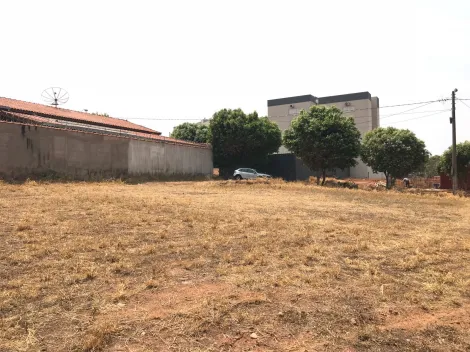 imagem 5 - Venda Lote de bairro com 250m² em Rifaina (ao lado da rampa municipal) imagem 5 - Venda Lote de bairro com 250m² em Rifaina (ao lado da rampa municipal)