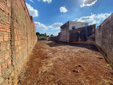 imagem 3 - Terreno Padrão Murado e com Portão imagem 3 - Terreno Padrão Murado e com Portão