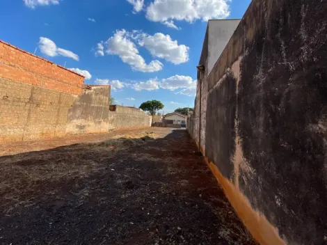 imagem 4 - Terreno Padrão Murado e com Portão imagem 4 - Terreno Padrão Murado e com Portão