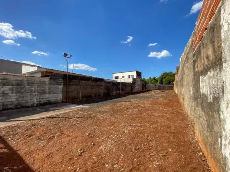 imagem 1 - Terreno Padrão Murado e com Portão imagem 1 - Terreno Padrão Murado e com Portão