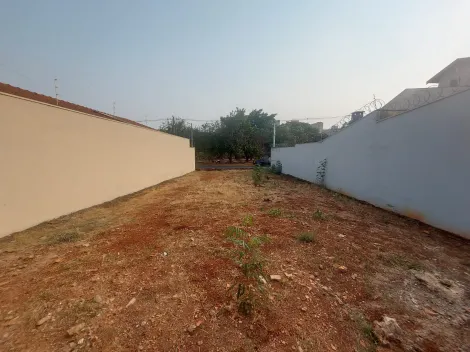 imagem 1 - Terreno - Padrão imagem 1 - Terreno - Padrão
