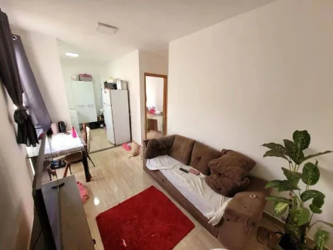 imagem 4 - Apartamento para Venda 2 Quartos, 43 m², Jardim Ouro Branco imagem 4 - Apartamento para Venda 2 Quartos, 43 m², Jardim Ouro Branco