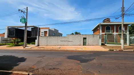 imagem 2 - Lote Misto 437,50 imagem 2 - Lote Misto 437,50
