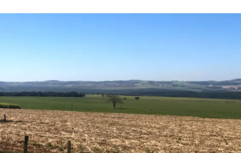 imagem 3 - Galpão Restaurante para Locação, 800 m², Rodovia Anhaguera Km 275 imagem 3 - Galpão Restaurante para Locação, 800 m², Rodovia Anhaguera Km 275