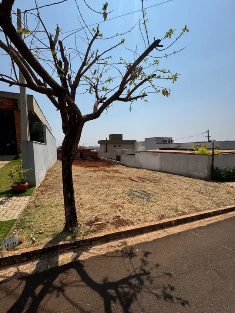 imagem 1 - Lote Condomínio Terras de San Pedro imagem 1 - Lote Condomínio Terras de San Pedro