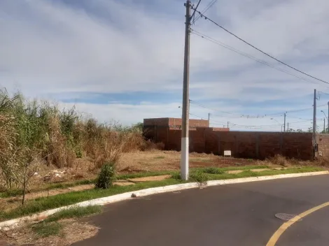 imagem 3 - Terreno - Padrão imagem 3 - Terreno - Padrão