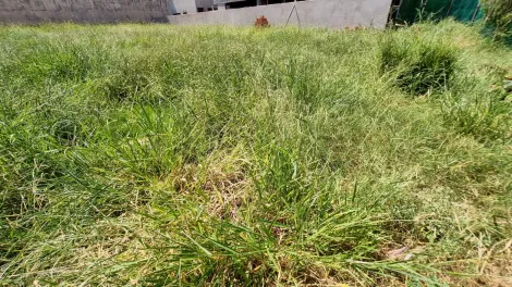 imagem 3 - Terreno em Condomínio Fechado, 611,77 m², Nova Aliança Sul imagem 3 - Terreno em Condomínio Fechado, 611,77 m², Nova Aliança Sul