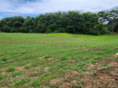 Terreno / Padrão em Ribeirão Preto , Comprar por R$6.077.000,00