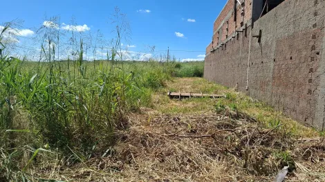 Terreno / Condomínio em Ribeirão Preto , Comprar por R$195.000,00