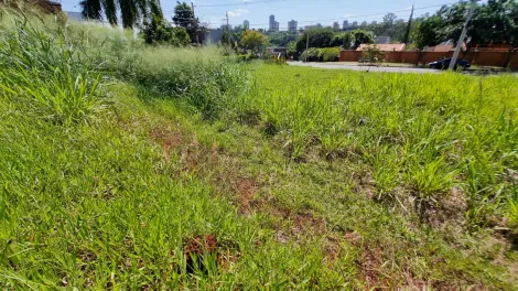 imagem 4 - Terreno Comercial para Locação imagem 4 - Terreno Comercial para Locação