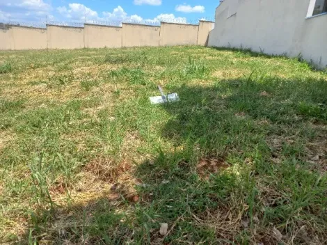 imagem 4 - Terreno á Venda, 288,00 m² - Por R$ 245.000,00 - Condomínio Terras de San Pedro  - Bonfim Paulista - SP imagem 4 - Terreno á Venda, 288,00 m² - Por R$ 245.000,00 - Condomínio Terras de San Pedro  - Bonfim Paulista - SP