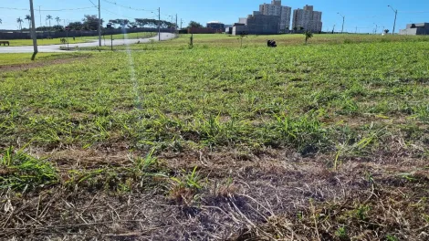 imagem 3 - Terreno em Condomínio Fechado a Venda, Villagio Costa Sul. imagem 3 - Terreno em Condomínio Fechado a Venda, Villagio Costa Sul.
