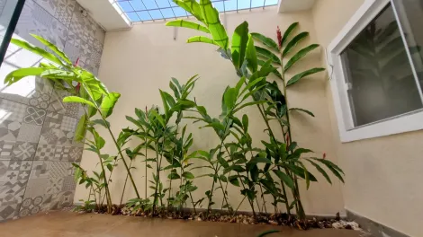 imagem 5 - Casa Térrea, 3 Quartos, 2 Suítes, 195 m², Jardim Antártica imagem 5 - Casa Térrea, 3 Quartos, 2 Suítes, 195 m², Jardim Antártica