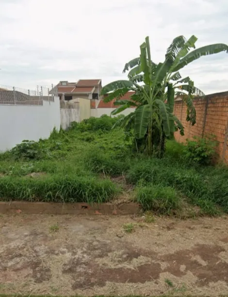 imagem 1 - Terreno, 383,25 m², Jardim Califórnia imagem 1 - Terreno, 383,25 m², Jardim Califórnia