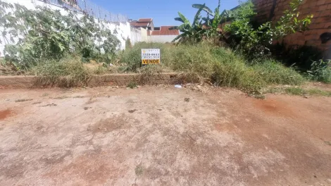 imagem 5 - Terreno, 383,25 m², Jardim Califórnia imagem 5 - Terreno, 383,25 m², Jardim Califórnia