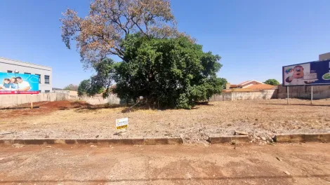 imagem 2 - 2 Terrenos , 875 m², Ribeirânia imagem 2 - 2 Terrenos , 875 m², Ribeirânia