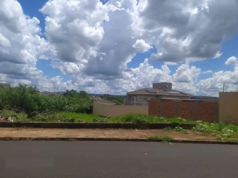 imagem 1 - Lote Misto 292m² Próximo da Avenida Independência imagem 1 - Lote Misto 292m² Próximo da Avenida Independência