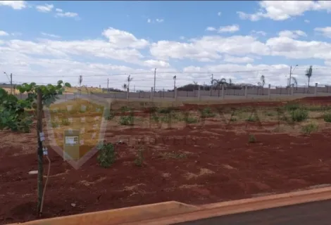 imagem 4 - Terreno á Venda - 250,00 m² - Condomínio Residencial Quinta da Mata - Ribeirão Preto - SP imagem 4 - Terreno á Venda - 250,00 m² - Condomínio Residencial Quinta da Mata - Ribeirão Preto - SP