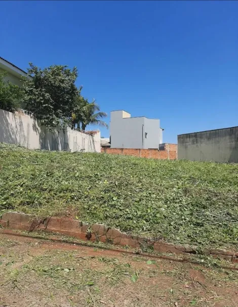 imagem 1 - Terreno á Venda - 515 m²  - Bairro City Ribeirão - Ribeirão Preto - SP imagem 1 - Terreno á Venda - 515 m²  - Bairro City Ribeirão - Ribeirão Preto - SP